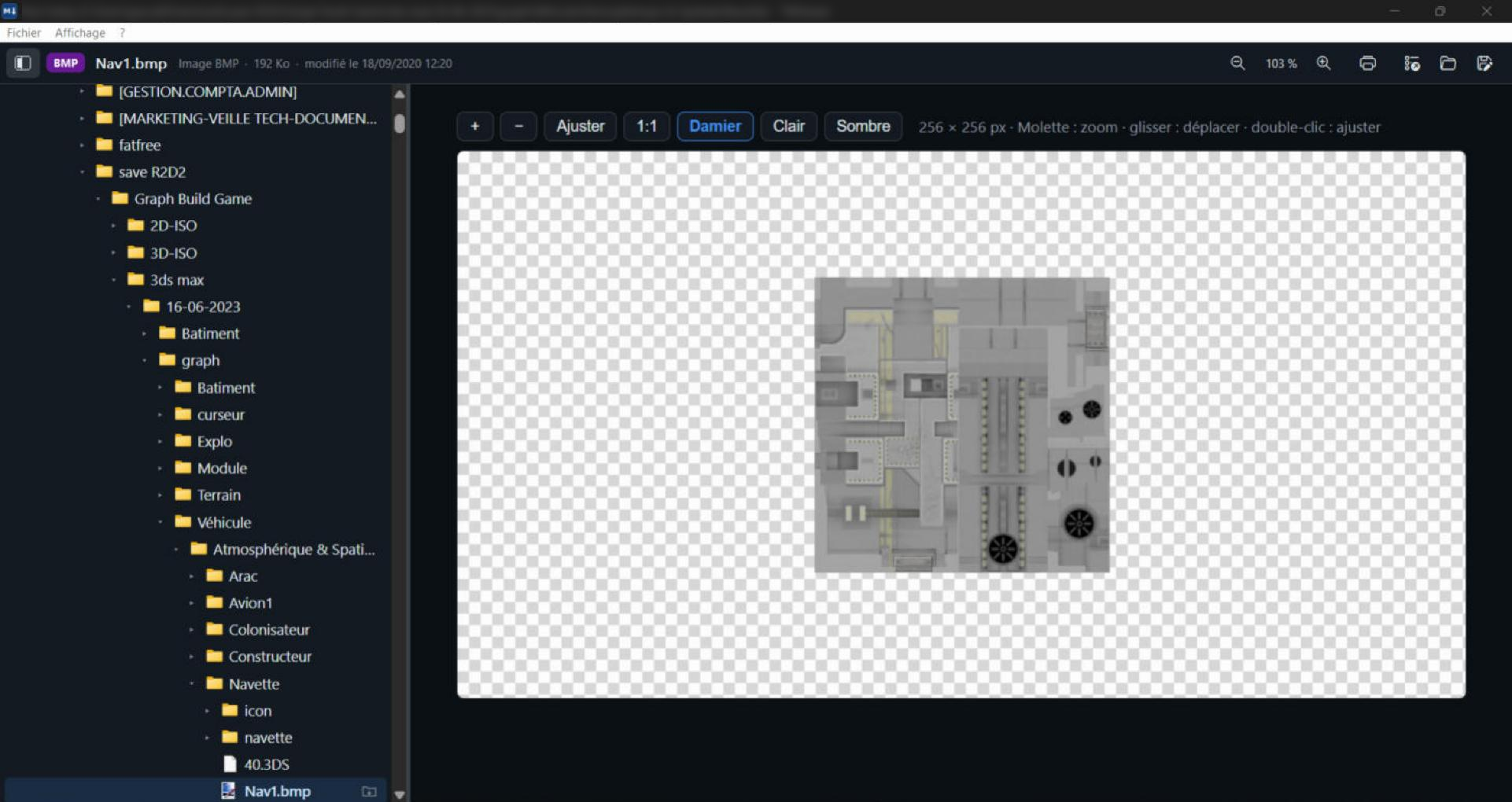 Volet de navigation de TNViewer et image BMP affichée